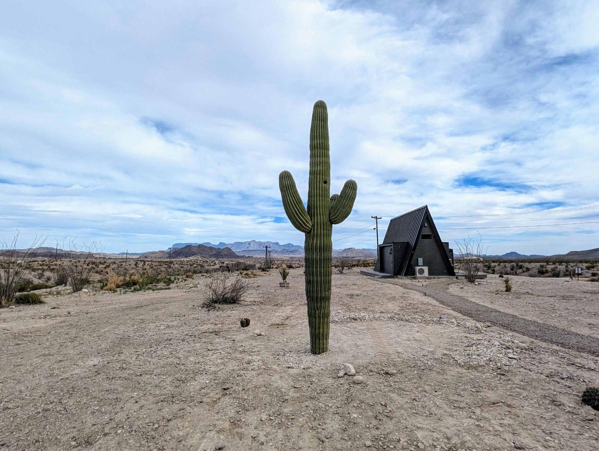 Stardust Luxury Cottage With Loft & A Great View Terlingua Extérieur photo